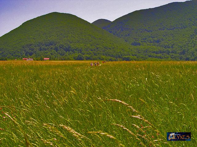 un mare verde.JPG